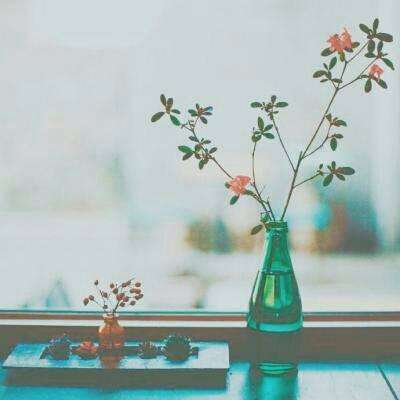 2023年香港资料精准