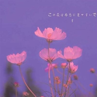 十大体育外围平台网址