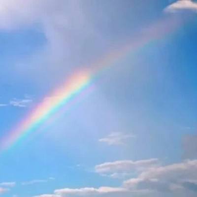 开云app手机版下载