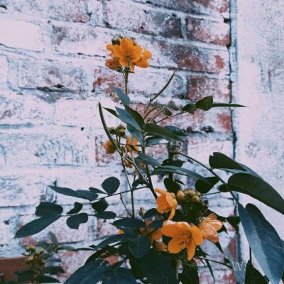 亚博体育(中国)官方网站下载手机版