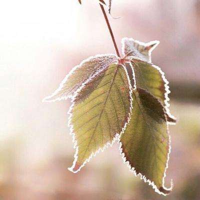 BOB体育官网下载入口