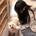 cq9电子游戏app下载手机版